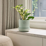 Load image into Gallery viewer, Northcote Pottery Hana Egg Pot With Saucer Duck Egg 17x17cm
