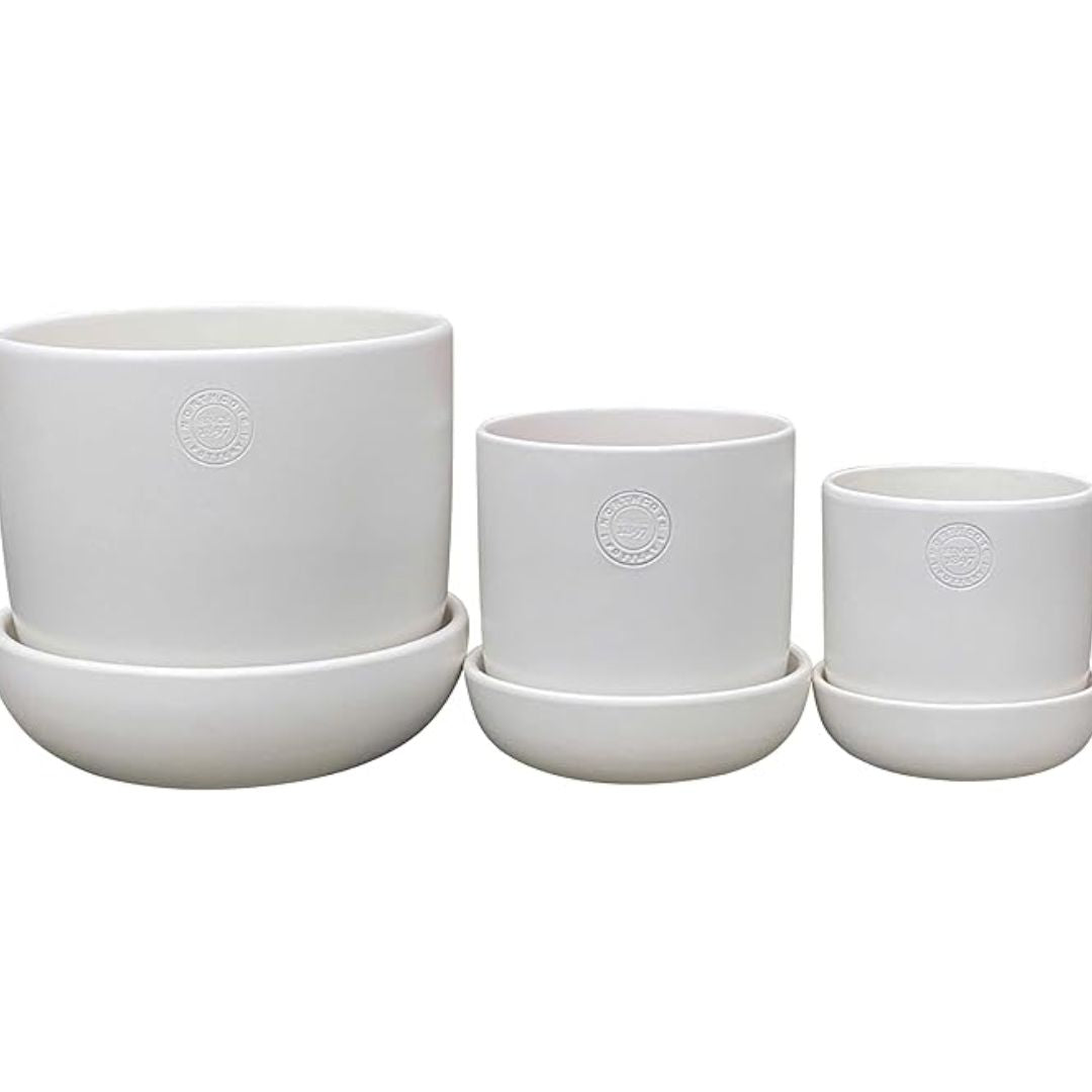 Northcote Pottery Hana Egg Pot With Saucer White 22x25cm