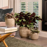 Load image into Gallery viewer, Northcote Pottery Kyoto Pot Natural [sz:small Clr:natural]
