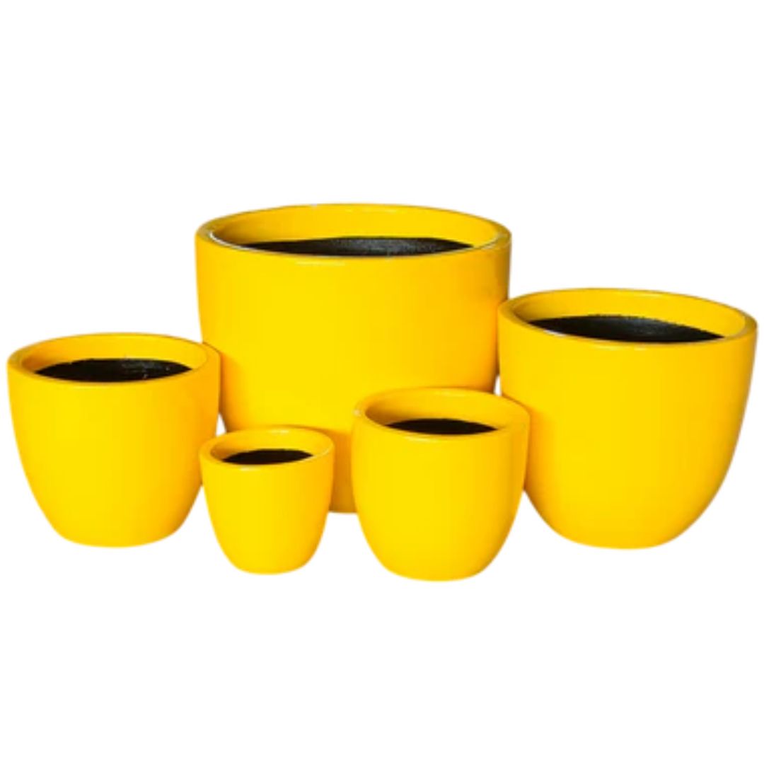 Egg F/g Gloss Yellow [sz:medium Clr:yellow]