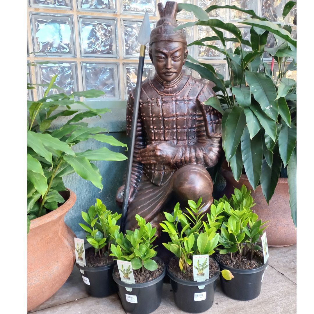 Statue Kneel Warrior Grc Copper 45x35x150cm