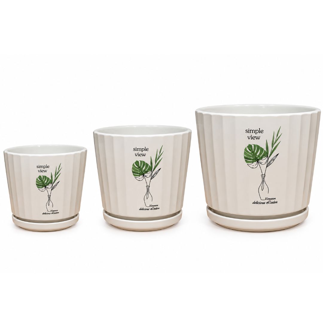 Simple View Pot With Saucer [sz:small Clr:white]