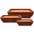 Rectangle Bonsai Brown [sz:small Clr:brown]
