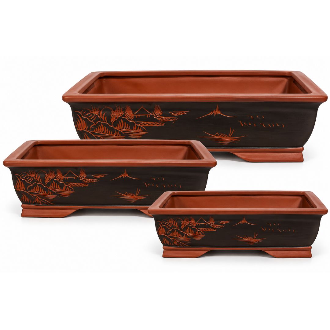 Rectangle Bonsai Pot [sz:small Clr:black Brown]
