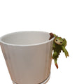Elliot The Dragon Hanging Pot Hanger