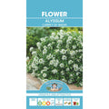 Fothergills Alyssum Carpet Of Snow