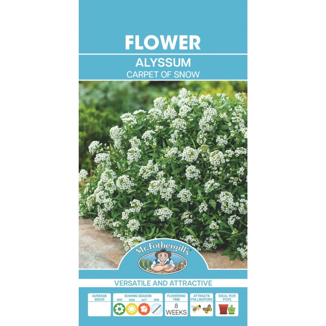 Fothergills Alyssum Carpet Of Snow