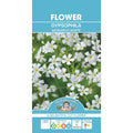 Fothergills Gypsophila Monarch White