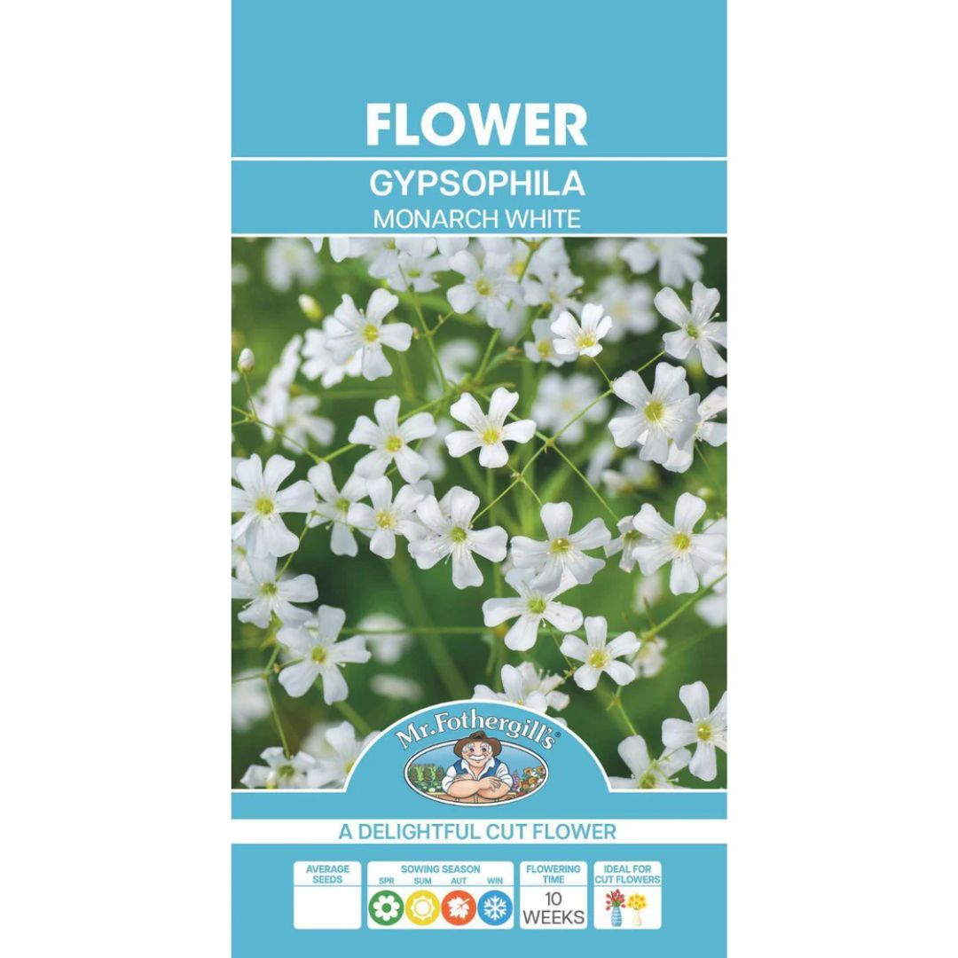 Fothergills Gypsophila Monarch White