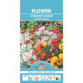 Fothergills Strawflower Dwarf Mixed