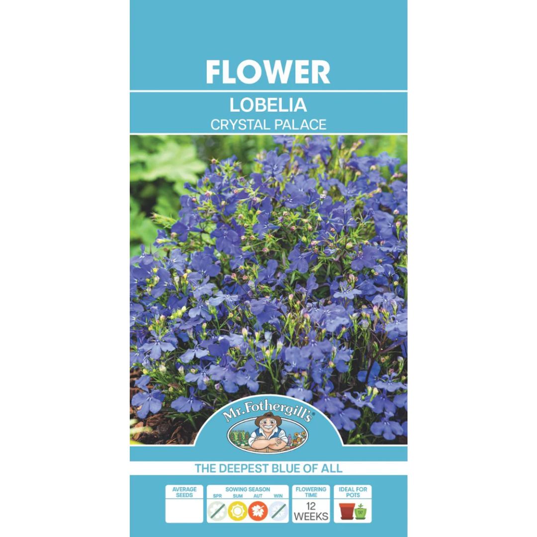 Fothergills Lobelia Crystal Palace Compacta