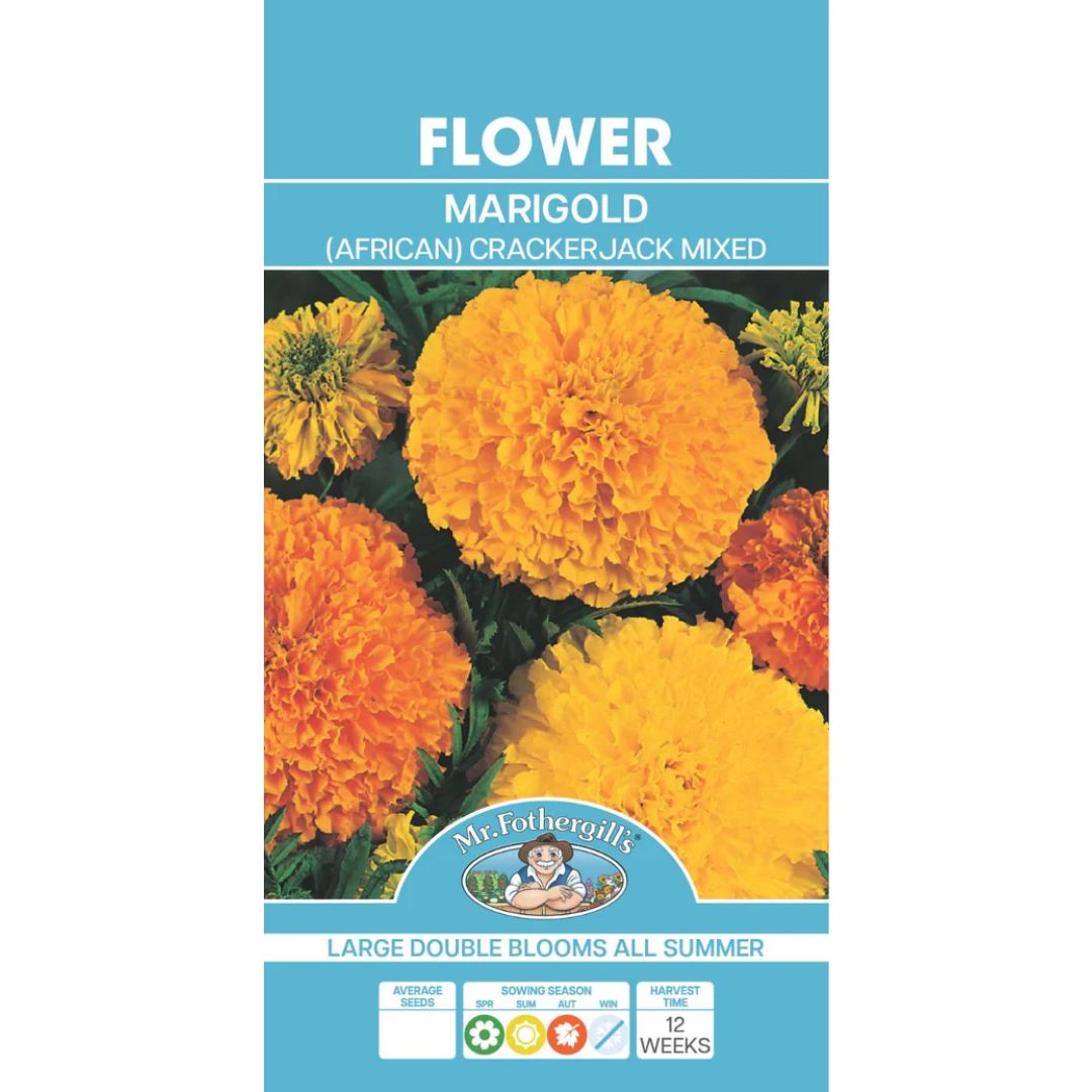 Fothergills Marigold Crackerjack
