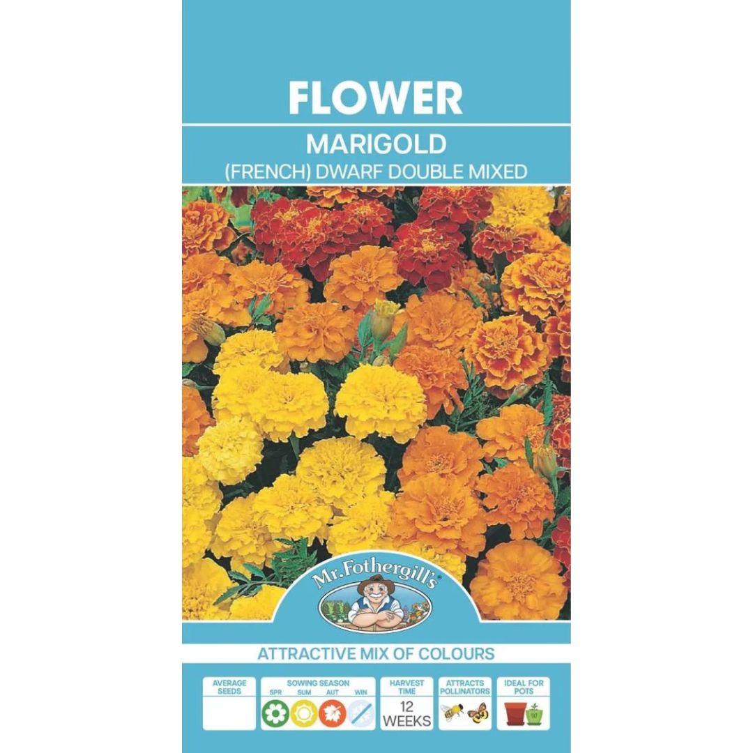 Fothergills Marigold Dwarf Double