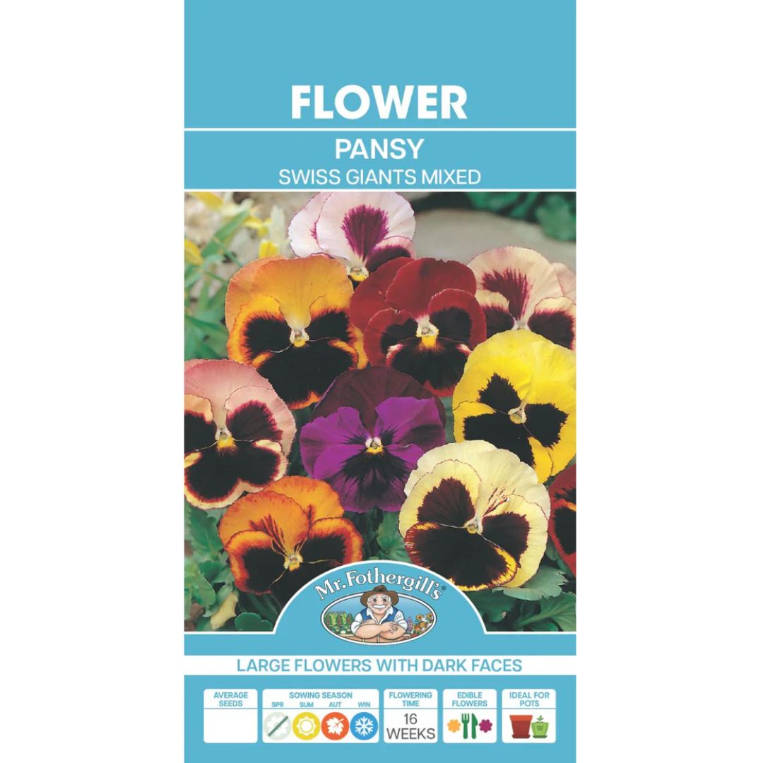Fothergills Pansy Swiss Giants Mixed