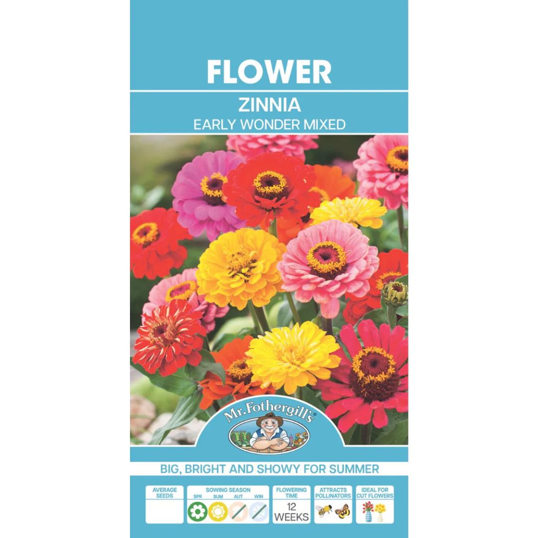 Fothergills Zinnia Early Wonder Mxd