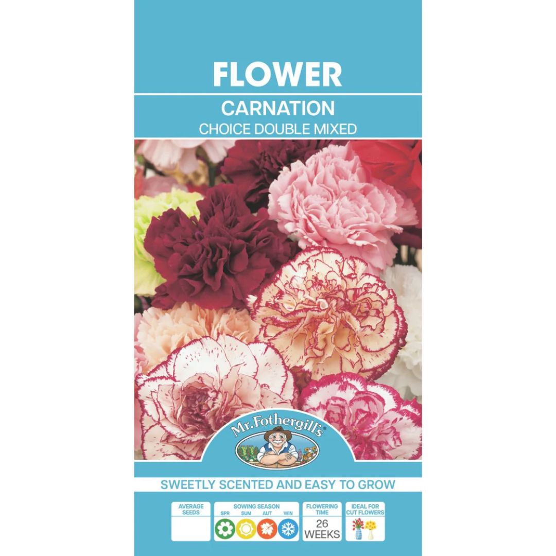 Fothergills Carnation Choice Double Mixed