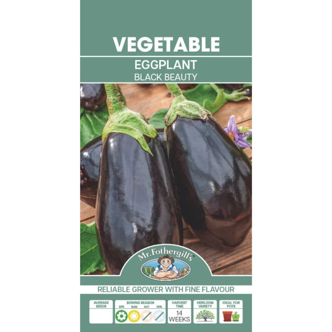 Fothergills Eggplant Black Beauty