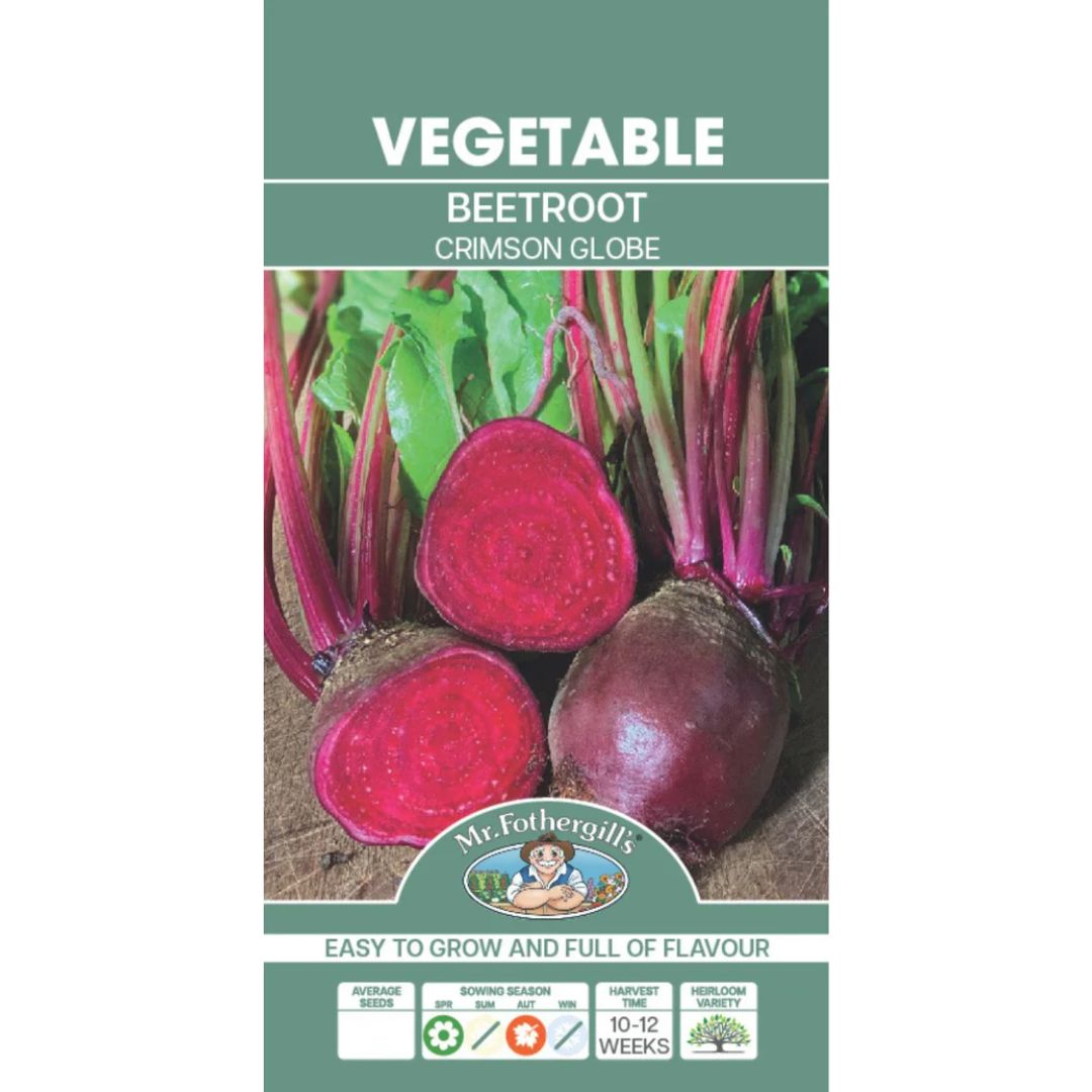 Fothergills Beetroot Crimson Globe