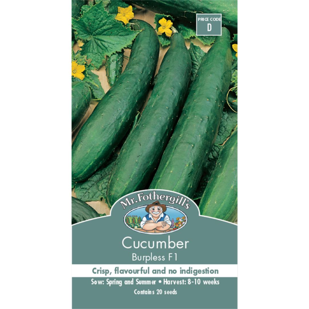 Fothergills Cucumber Burpless F1