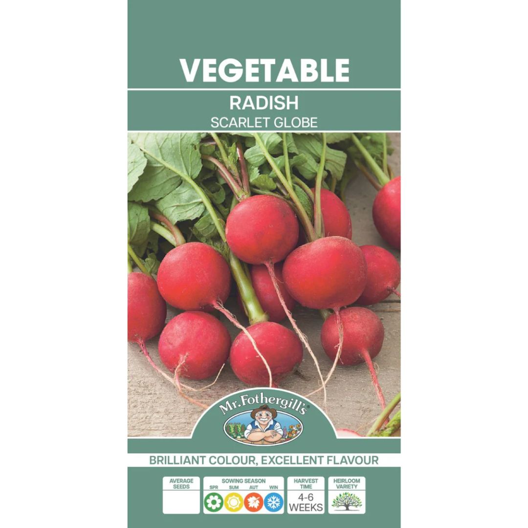 Fothergills Radish Scarlet Globe
