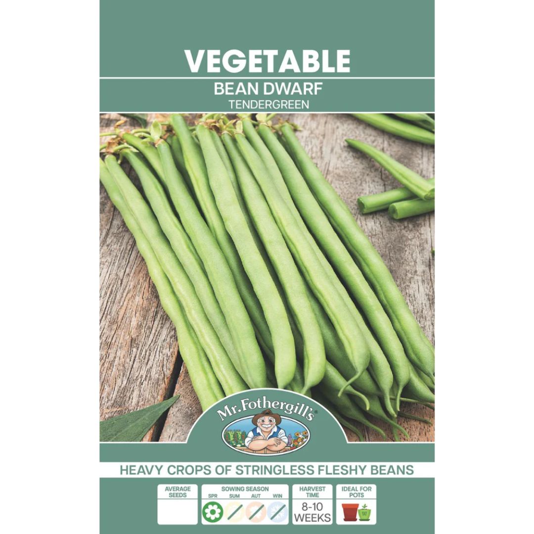 Fothergills Dwarf Bean Tendergreen