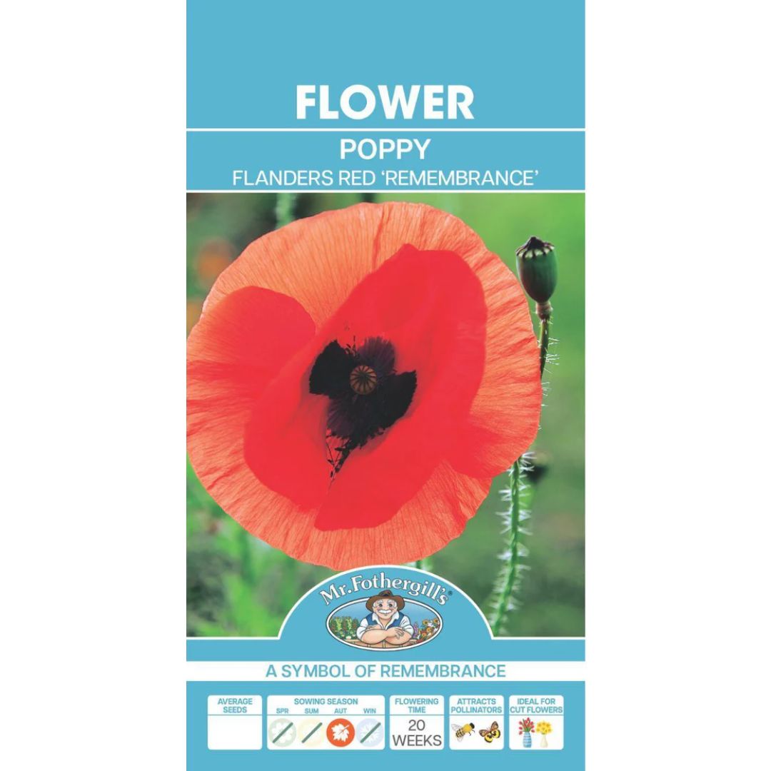 Fothergills Poppy Flanders Red 'rememberance