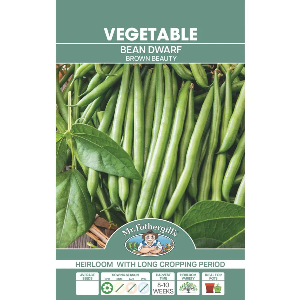 Fothergills Dwarf Bean Brown Beauty