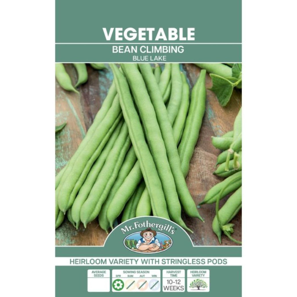 Fothergills Climbing Bean Blue Lake