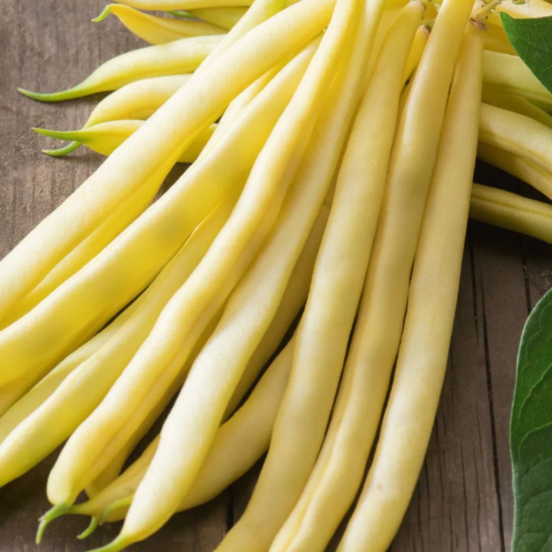 Fothergills Butterbean Cherokee
