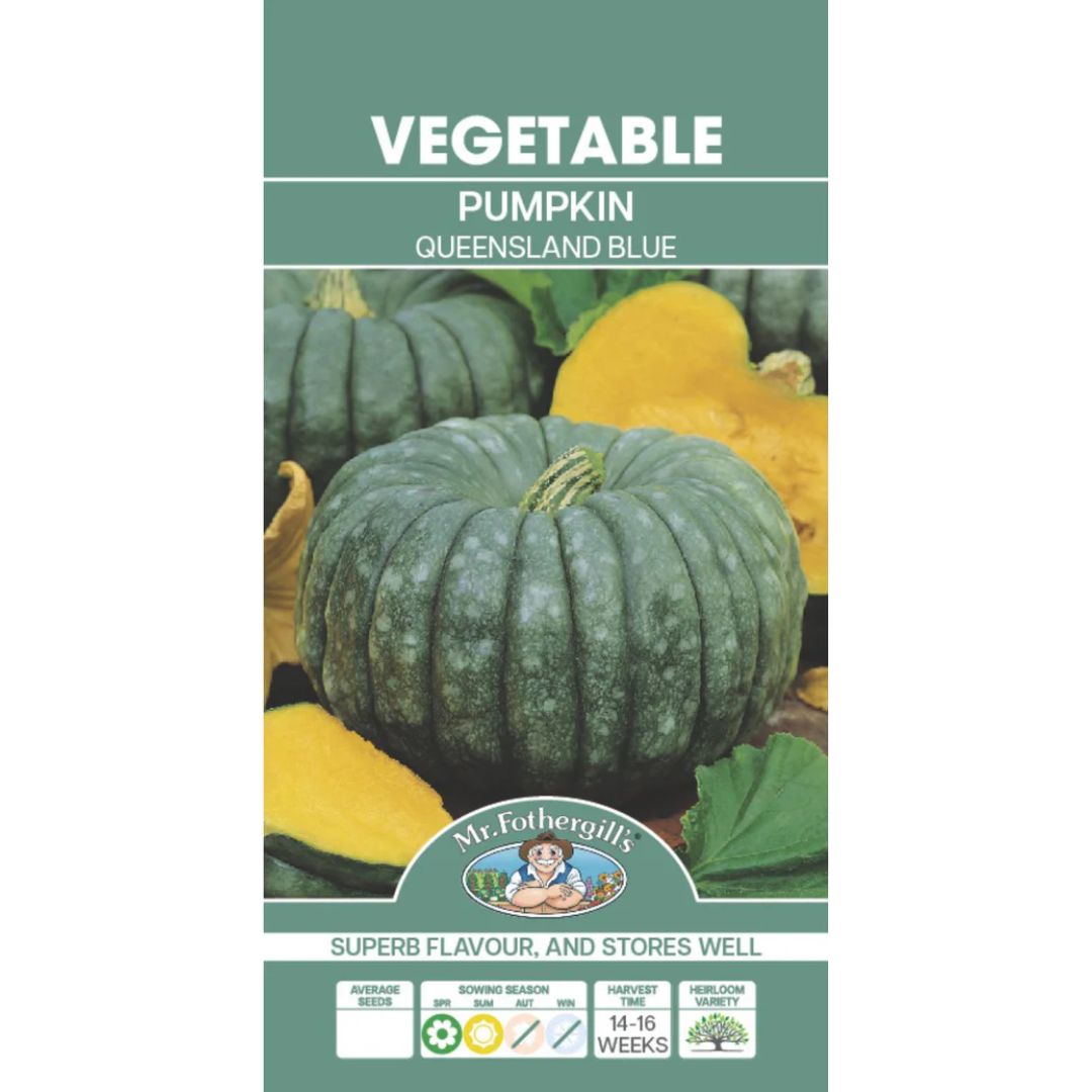 Fothergills Pumpkin Queensland Blue