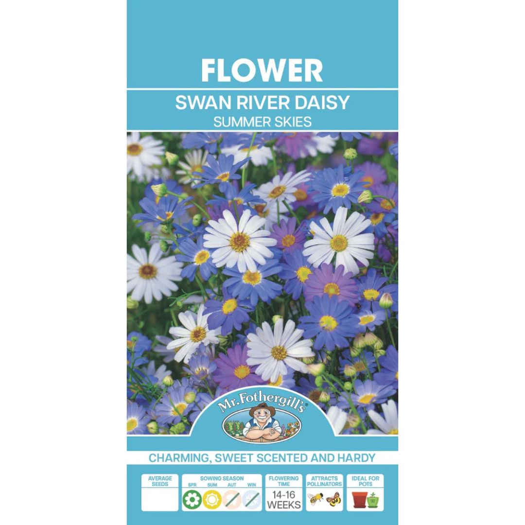 Fothergills Swan River Daisy Summer Skies