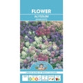Fothergills Alyssum Aphrodite
