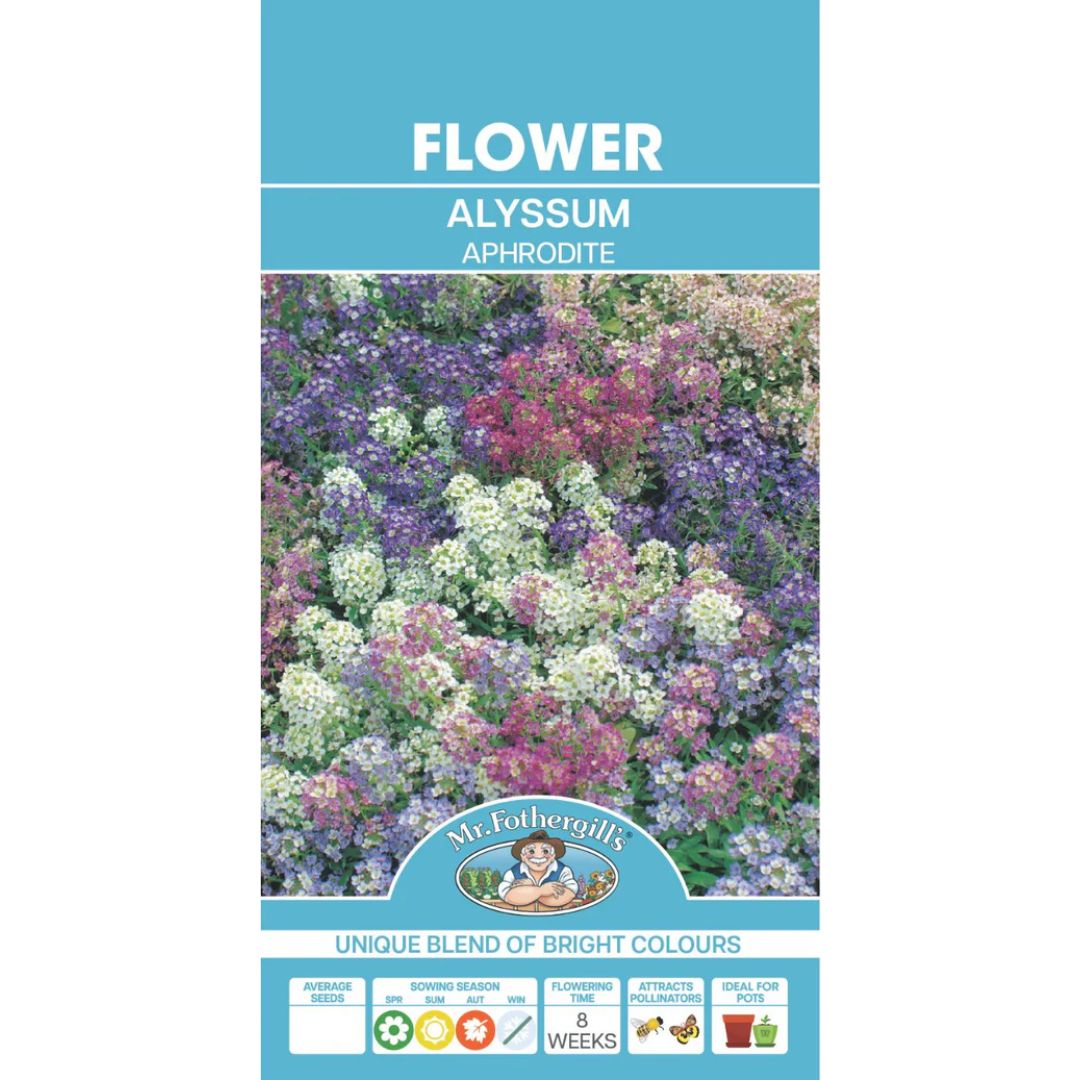 Fothergills Alyssum Aphrodite