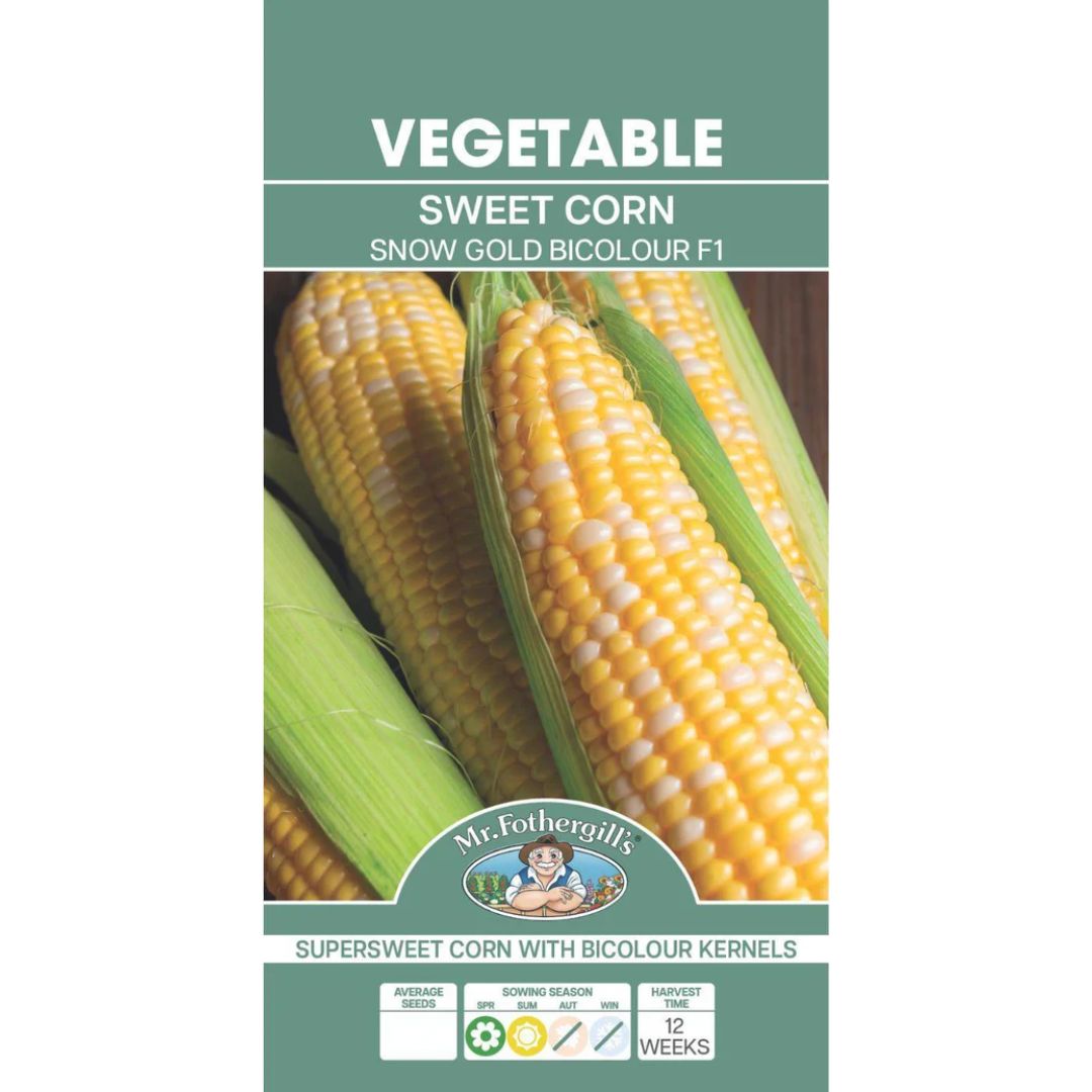 Fothergills Sweet Corn Snow Gold F1