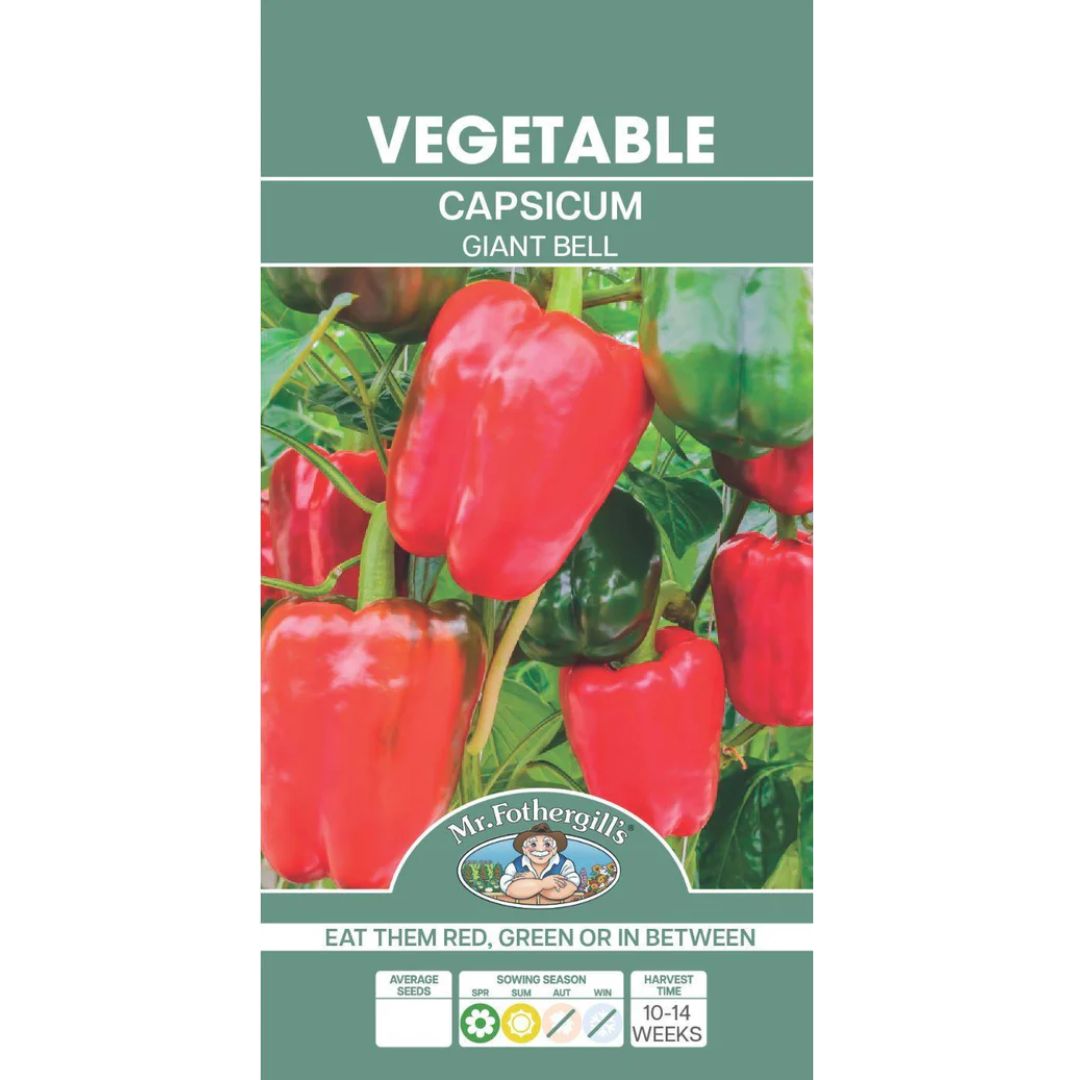 Fothergills Capsicum Giant Bell