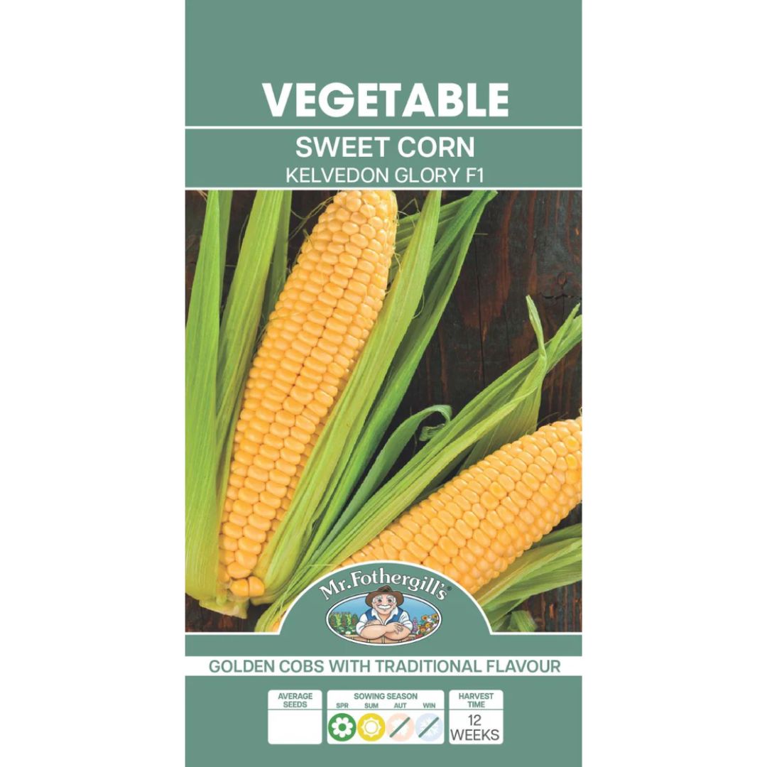 Fothergills Sweet Corn Kelvedon Glory