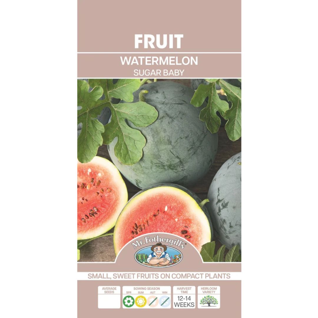 Fothergills Water Melon Sugar Baby