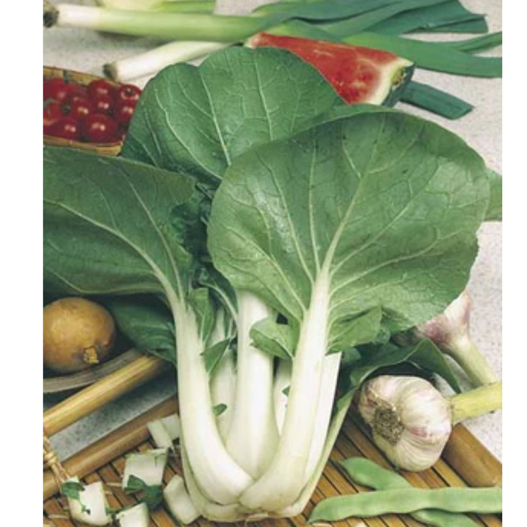 Fothergills Pak Choi