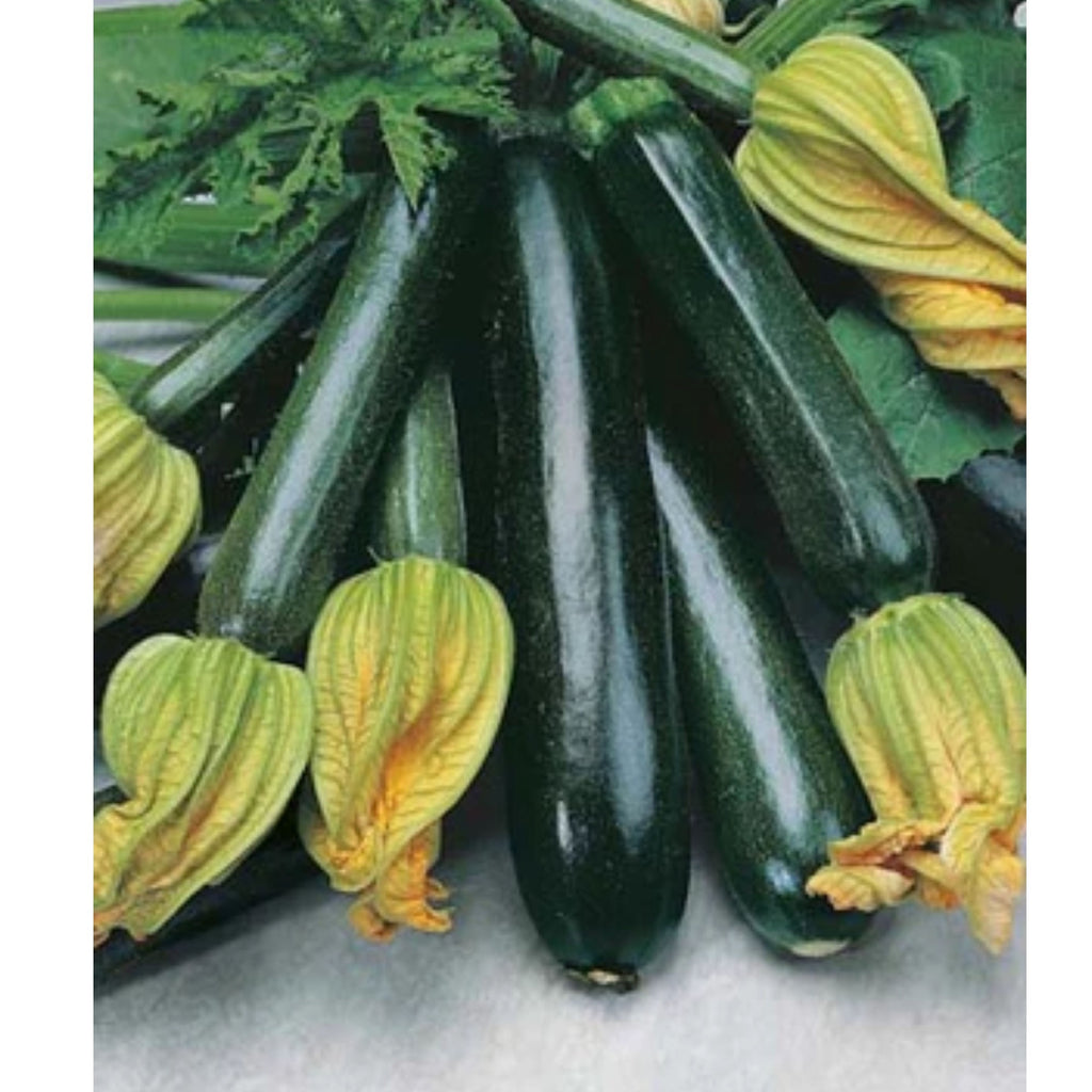 Fothergills Zucchini Blackjack