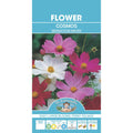 Fothergills Cosmos Sensation
