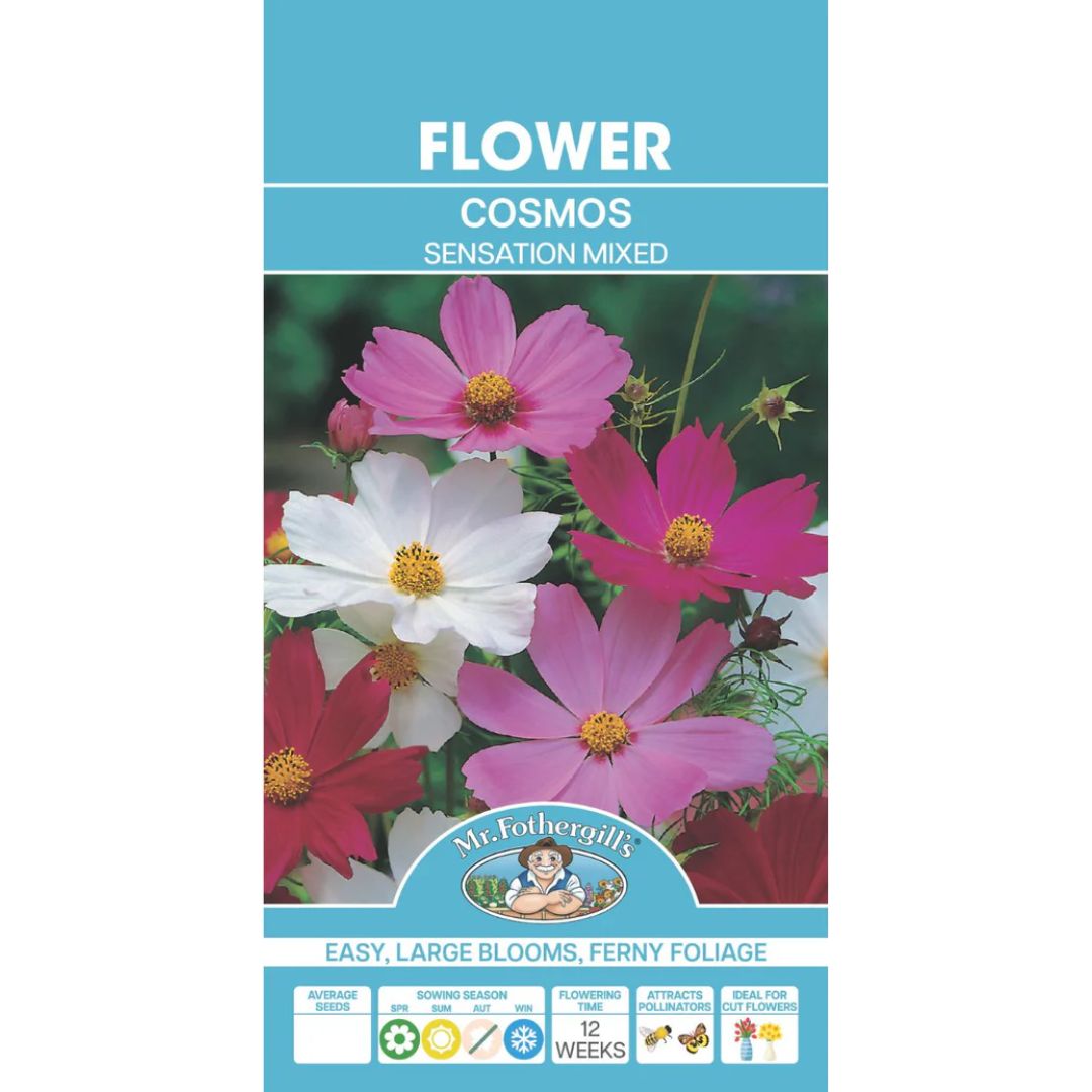 Fothergills Cosmos Sensation