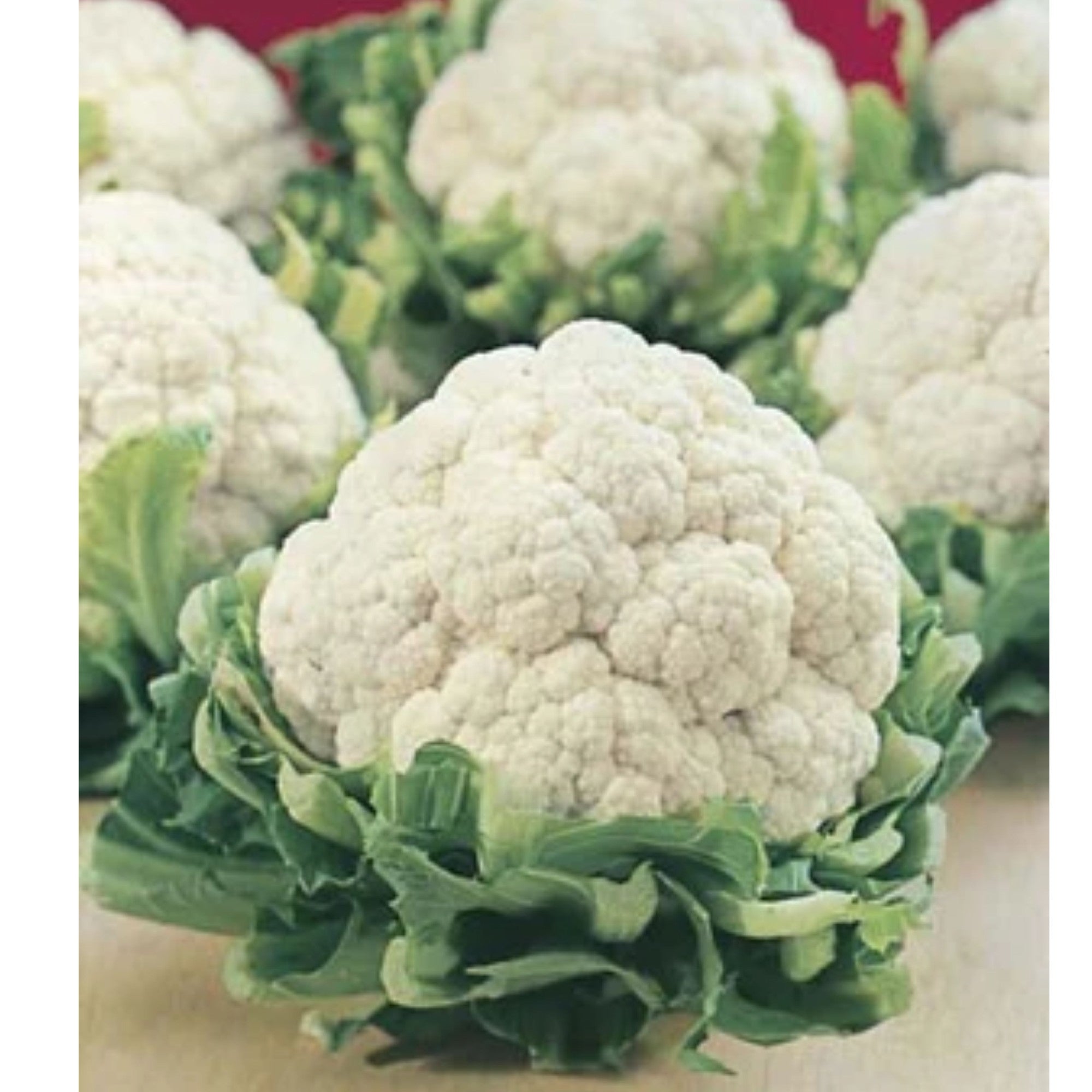 Fothergills Cauliflower All Year