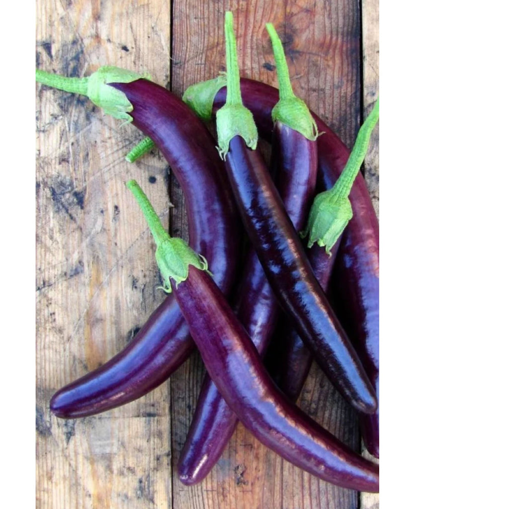 Fothergills Eggplant Long Purple