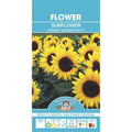 Fothergills Sunflower Dwarf Sunsation