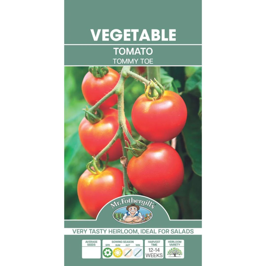 Fothergills Tomato Tommy Toe
