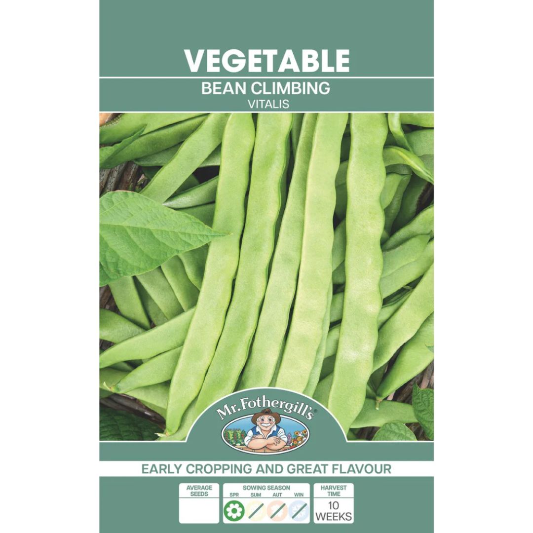 Fothergills Climbing Bean Vitalis