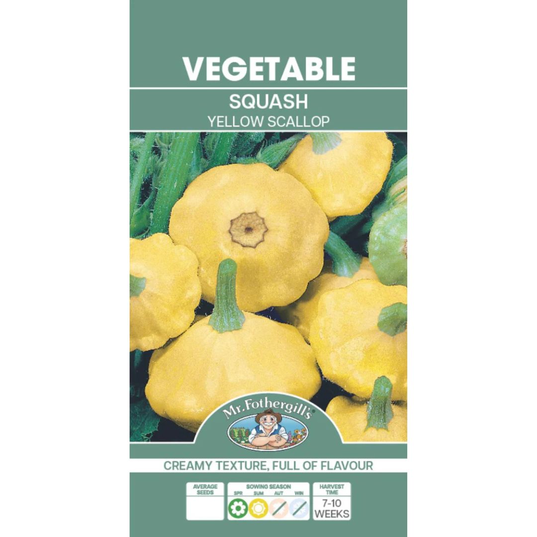 Fothergills Squash Yellow Scallop
