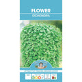 Fothergills Dichondra