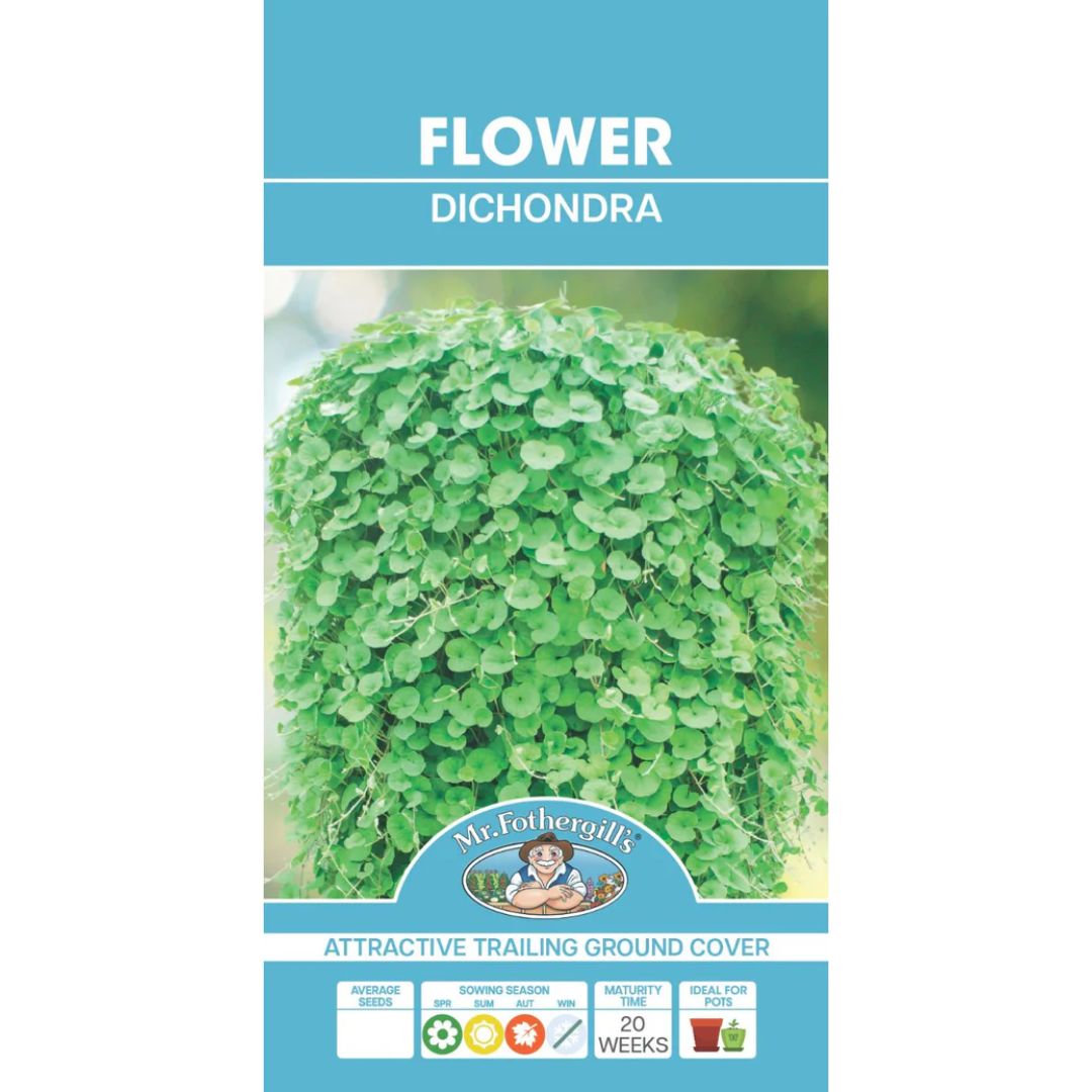 Fothergills Dichondra