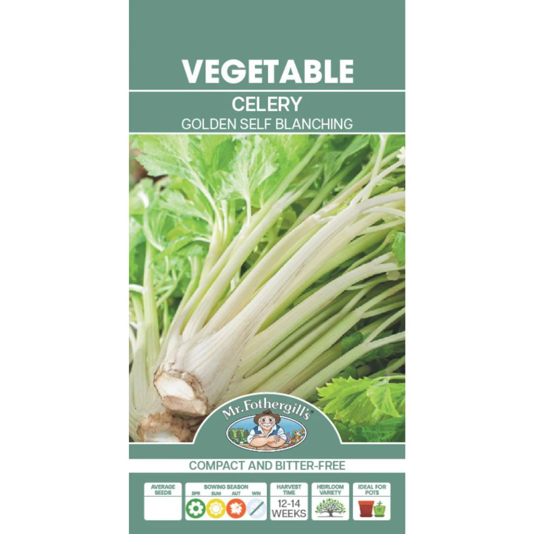 Fothergills Celery Golden Self Branching